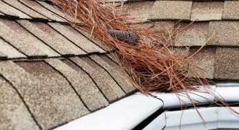 Tips for Spring Roof Repair and Maintenance to Help Protect Your Roof