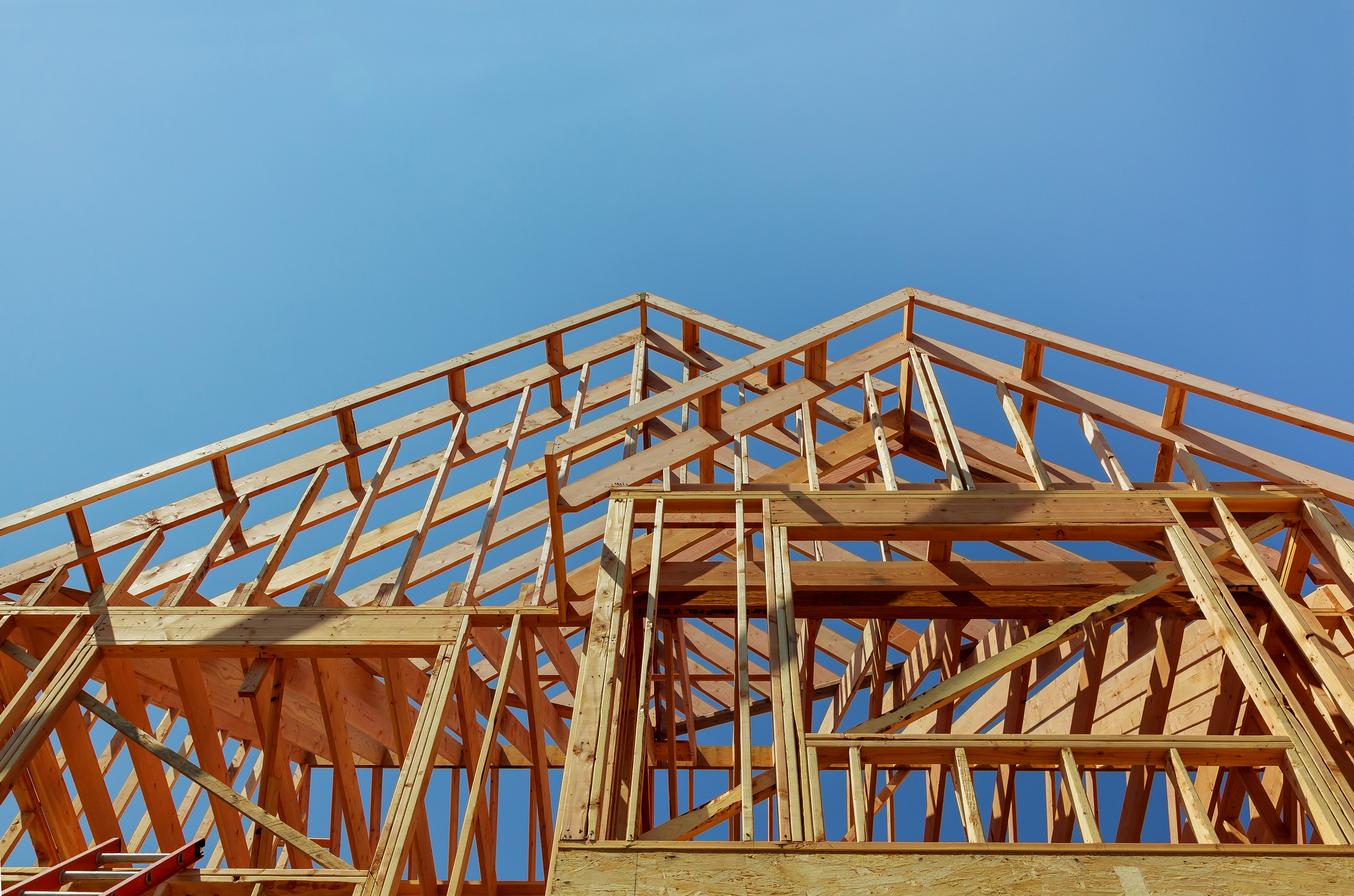 Gallery Rafters 1751394712 Jpg