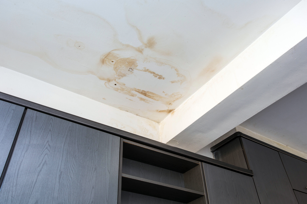 Gallery Stains On Ceiling 1754383803 Jpg