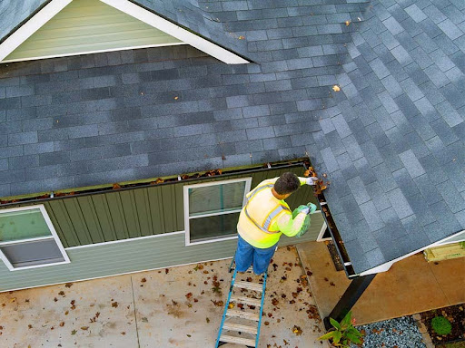 Gallery Scartelli 3 1764008337 Jpg